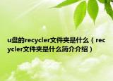 u盘的recycler文件夹是什么（recycler文件夹是什么简介介绍）