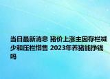 当日最新消息 猪价上涨主因存栏减少和压栏惜售 2023年养猪能挣钱吗