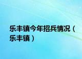 乐丰镇今年招兵情况（乐丰镇）