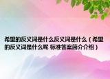 希望的反义词是什么反义词是什么（希望的反义词是什么呢 标准答案简介介绍）