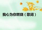 我心为你燃烧（歌词）