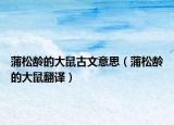 蒲松龄的大鼠古文意思（蒲松龄的大鼠翻译）