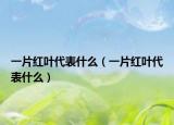一片红叶代表什么（一片红叶代表什么）