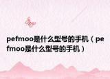 pefmoo是什么型号的手机（pefmoo是什么型号的手机）