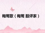 梅莺歌（梅莺 股评家）