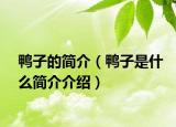 鸭子的简介（鸭子是什么简介介绍）