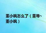 董小飒怎么了（董导丶董小飒）