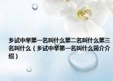 乡试中举第一名叫什么第二名叫什么第三名叫什么（乡试中举第一名叫什么简介介绍）