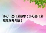 小刀一些什么意思（小刀是什么意思简介介绍）