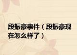段振豪事件（段振豪现在怎么样了）