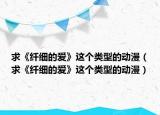 求《纤细的爱》这个类型的动漫（求《纤细的爱》这个类型的动漫）