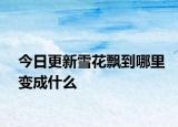 今日更新雪花飘到哪里变成什么