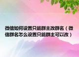 微信如何设置只能群主改群名（微信群名怎么设置只能群主可以改）