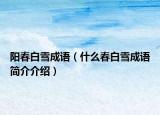 阳春白雪成语（什么春白雪成语简介介绍）