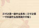三寸之舌一是什么生肖（三寸之舌一寸长是什么生肖简介介绍）