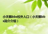 小天鹅bbs校外入口（小天鹅bbs简介介绍）
