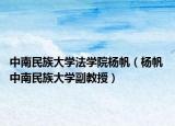 中南民族大学法学院杨帆（杨帆 中南民族大学副教授）