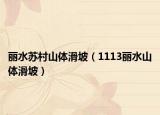 丽水苏村山体滑坡（1113丽水山体滑坡）