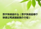 苏宁快递是什么（苏宁快递是哪个快递公司派送的简介介绍）