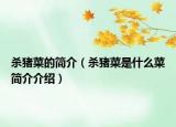 杀猪菜的简介（杀猪菜是什么菜简介介绍）