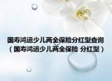 国寿鸿运少儿两全保险分红型查询（国寿鸿运少儿两全保险 分红型）