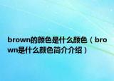 brown的颜色是什么颜色（brown是什么颜色简介介绍）