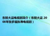 东陵大盗电视剧简介（东陵大盗 2008年张多福执导电视剧）