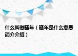 什么叫做骚年（骚年是什么意思简介介绍）