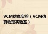 VCM仿真实验（VCM仿真物理实验室）