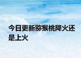 今日更新猕猴桃降火还是上火