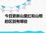 今日更新山里红和山楂的区别有哪些