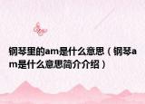 钢琴里的am是什么意思（钢琴am是什么意思简介介绍）