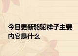 今日更新骆驼祥子主要内容是什么