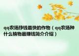 qq农场挣钱最快的作物（qq农场种什么植物最赚钱简介介绍）