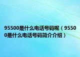 95500是什么电话号码呢（95500是什么电话号码简介介绍）