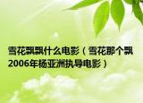雪花飘飘什么电影（雪花那个飘 2006年杨亚洲执导电影）