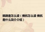 鸸鹋是怎么读（梼杌怎么读 梼杌是什么简介介绍）