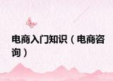 电商入门知识（电商咨询）