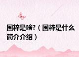 国粹是啥?（国粹是什么简介介绍）
