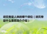 迎宾骨是人体的哪个部位（迎宾骨是什么意思简介介绍）