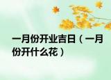 一月份开业吉日（一月份开什么花）