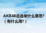 AKB48总选举什么意思?（有什么用?）
