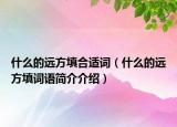 什么的远方填合适词（什么的远方填词语简介介绍）