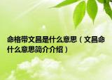 命格带文昌是什么意思（文昌命什么意思简介介绍）