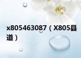 x805463087（X805县道）