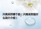兴高采烈哪个的（兴高采烈地什么简介介绍）