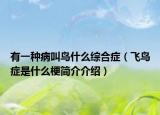 有一种病叫鸟什么综合症（飞鸟症是什么梗简介介绍）