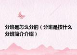 分班是怎么分的（分班是按什么分班简介介绍）