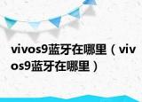 vivos9蓝牙在哪里（vivos9蓝牙在哪里）
