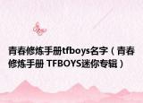 青春修炼手册tfboys名字（青春修炼手册 TFBOYS迷你专辑）